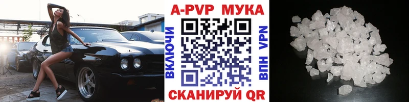 ОМГ ОМГ ТОР Братск A PVP крисы CK