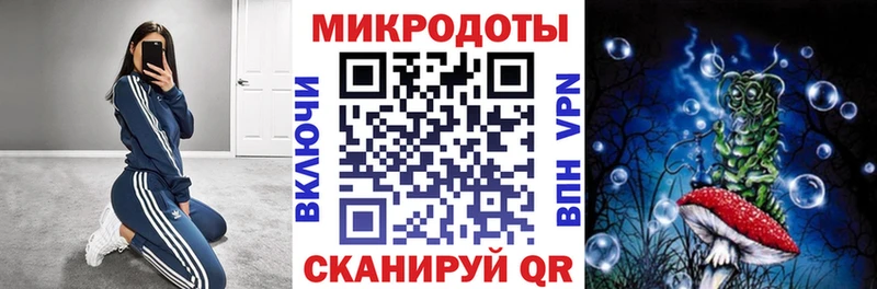 как найти наркотики  Братск  Псилоцибиновые грибы мухоморы 